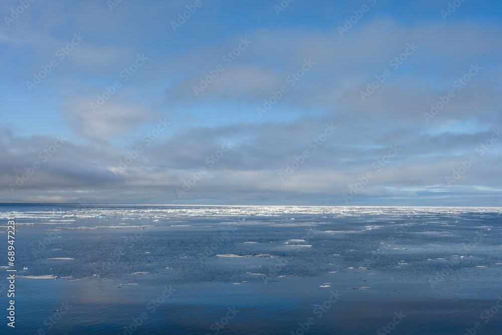 Melting sea ice, broken off from the ice shelf, floating in the arctic ocean in the high arctic, global warming in action
