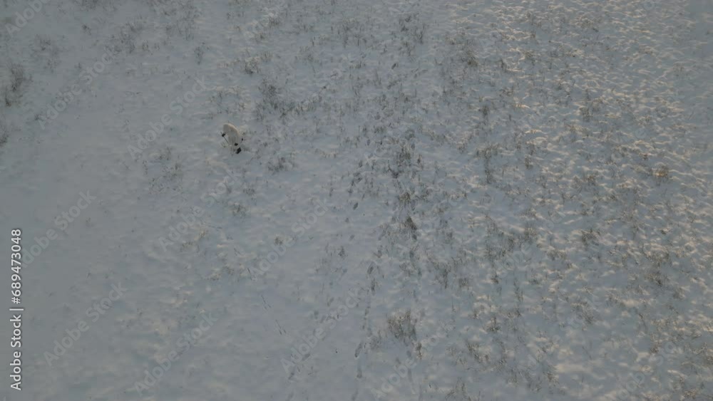 man wearing heavy coat walking on snow-covered terrain from above man wearing heavy coat walking on snow-covered terrain from above