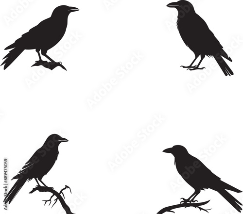Silhouette of raven Black raven set vector on white background
