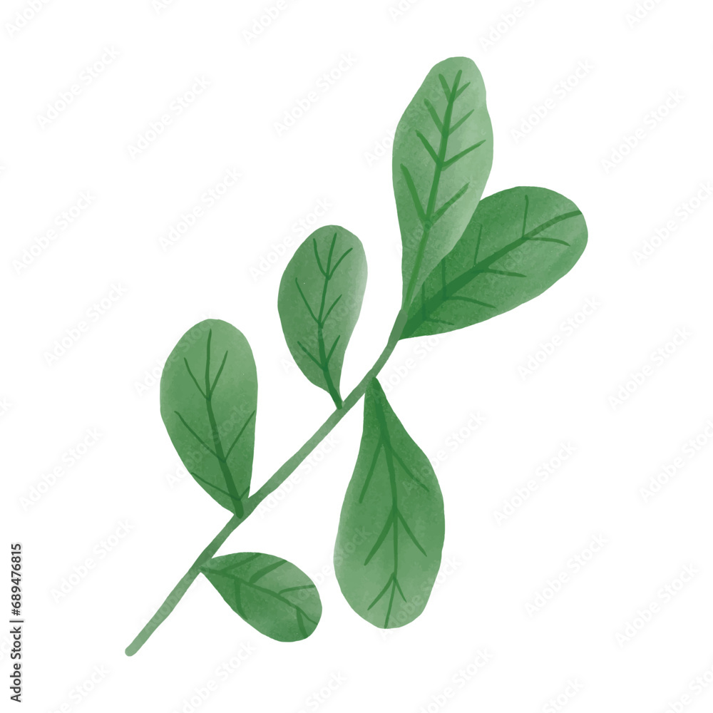Branch with green leaves design element Branch with green leaves design element
