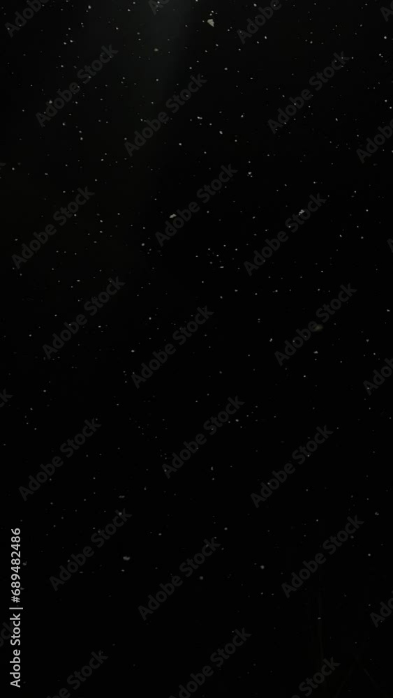 Realistic snowfall overlay, black background - winter, slowly falling snow effect. Vertical 4k footage Realistic snowfall overlay, black background - winter, slowly falling snow effect. Vertical 4k footage
