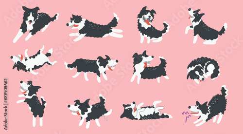 Set of Cute Cartoon Border Collie Dogs , Cartoon Dog Character Design with Flat Colors in Various Poses