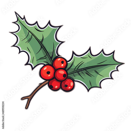 Hand drawn holly leaves and berries isolated on transparent background