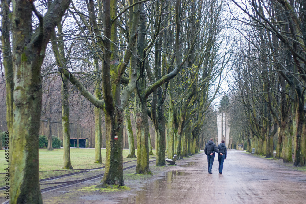 This image captures a couple walking hand in hand down a tranquil avenue, lined with tall, leafless trees. The overcast sky and the damp pathway suggest a chilly, quiet day, possibly in the late