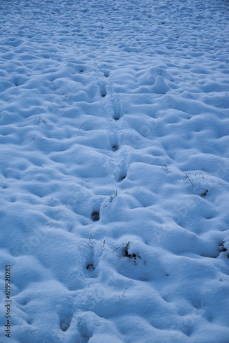 Spuren in Eis und Schnee