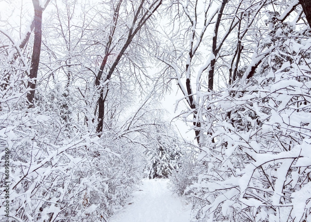 Snow covered trail Snow covered trail