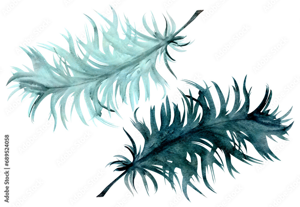 Obraz premium Hand drawn watercolor Mardi Gras carnival symbol. Bird feather quill plumage, emerald mint green. Single object isolated on white background. Design for party invitation, print, shop, wedding, clothes