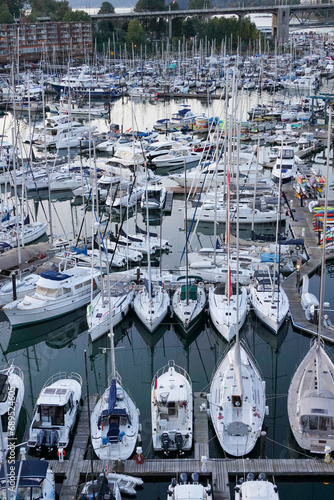 Dense Marina Dock Packed with Yachts and Sailboats