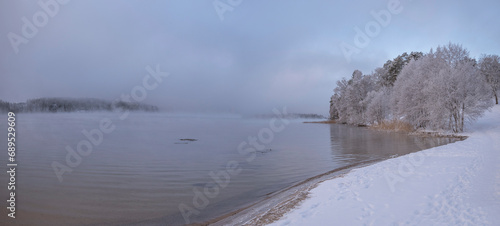 Smoke, fog, over the lake Mälaren at a beach, frost on trees and snow in the Stockholm district Bromma