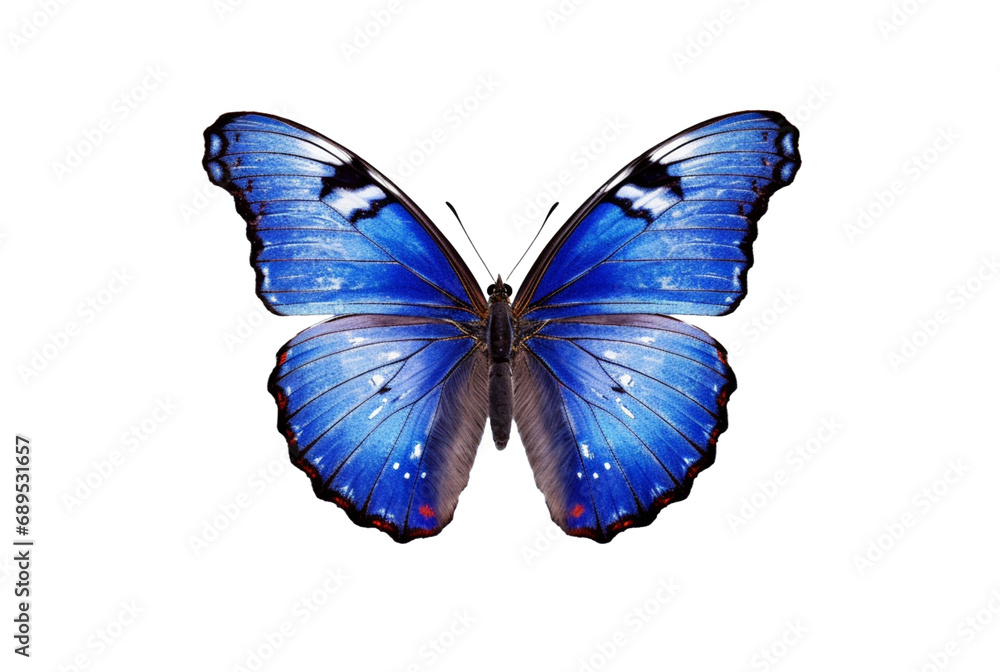 Obraz premium beautiful colorful butterfly isolated transparent background. generative ai