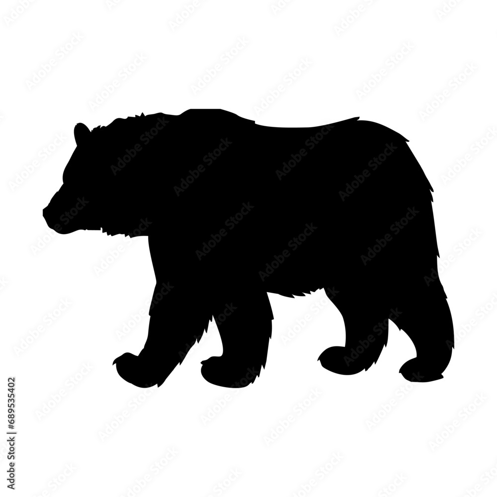 Fototapeta premium silhouette of a black bear walking