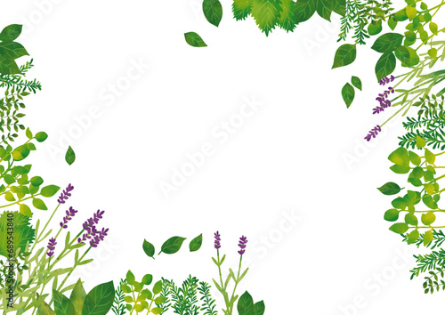水彩風　ハーブフレーム　コーナー Botanical Herbs in Watercolor  Series:Herb Frame