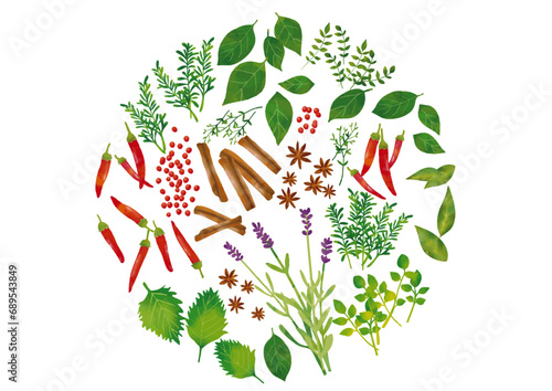 水彩風　ハーブとスパイスセット Botanical Herbs in Watercolor  Series:Herb And Spice Set