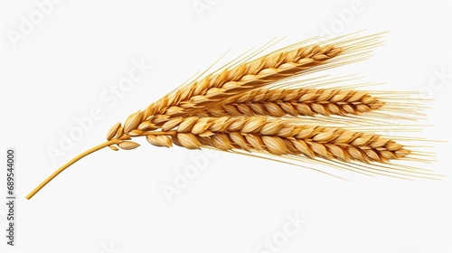 An ear of wheat isolated on transparent or white background