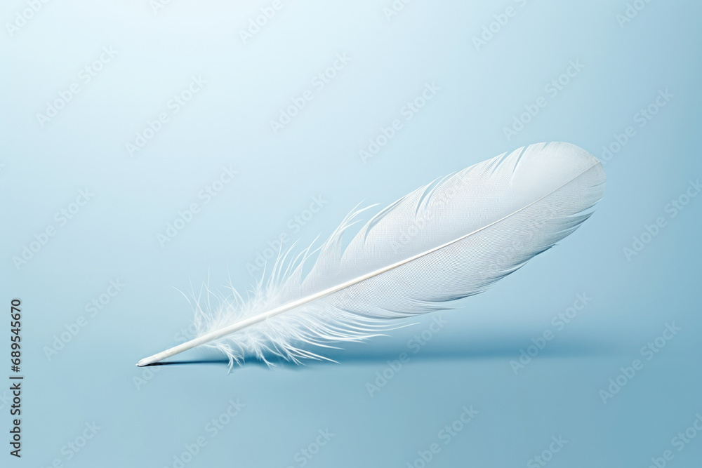 White wing soft quill fluffy softness feather bird background light smooth blue White wing soft quill fluffy softness feather bird background light smooth blue