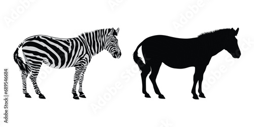 Hand drawn african zebra silhouette vector design