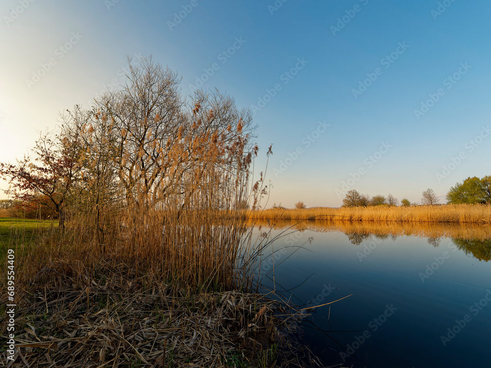 Obraz premium Großer Wörthsee und Sichelsee im Naturschutzgebiet Mainaue bei Augsfeld, Stadt Haßfurt, Landkreis Hassberge, Unterfranken, Franken, Bayern, Deutschland
