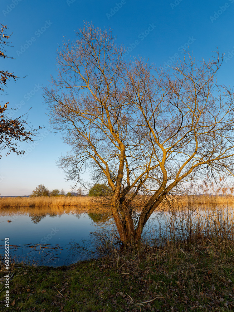 Großer Wörthsee und Sichelsee im Naturschutzgebiet Mainaue bei Augsfeld, Stadt Haßfurt, Landkreis Hassberge, Unterfranken, Franken, Bayern, Deutschland Großer Wörthsee und Sichelsee im Naturschutzgebiet Mainaue bei Augsfeld, Stadt Haßfurt, Landkreis Hassberge, Unterfranken, Franken, Bayern, Deutschland