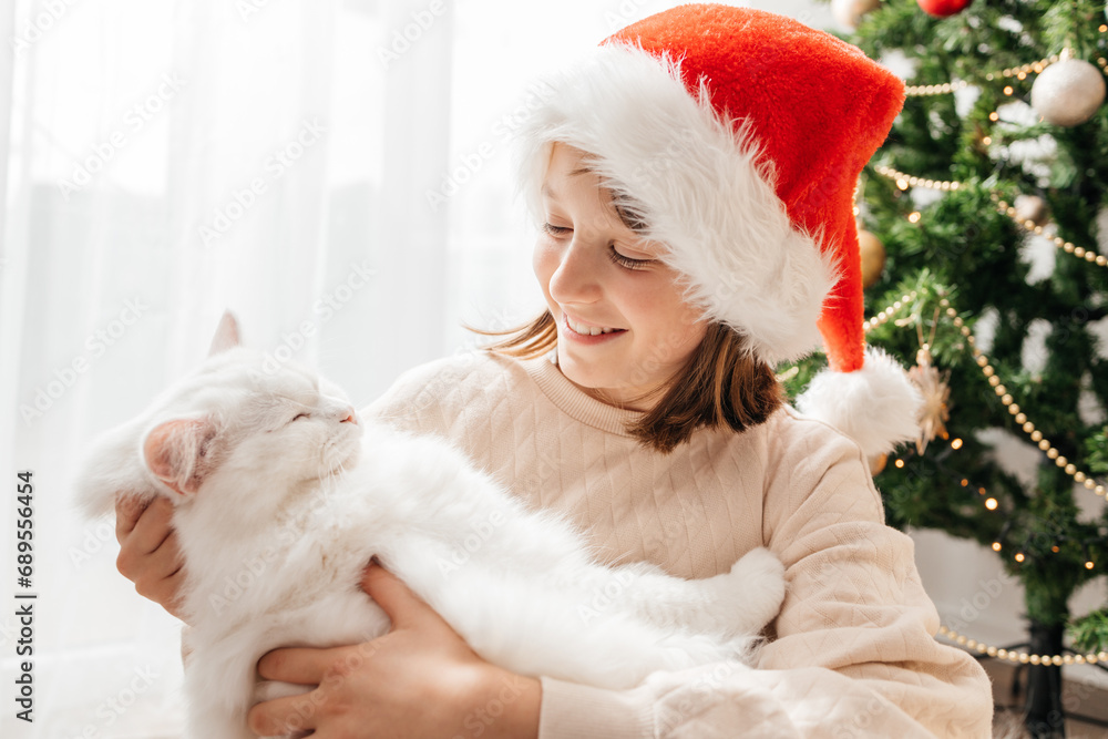 Obraz premium Portrait of a happy teenage girl and her gray maine coon cat next to a decorated Christmas tree. Friendship with pets