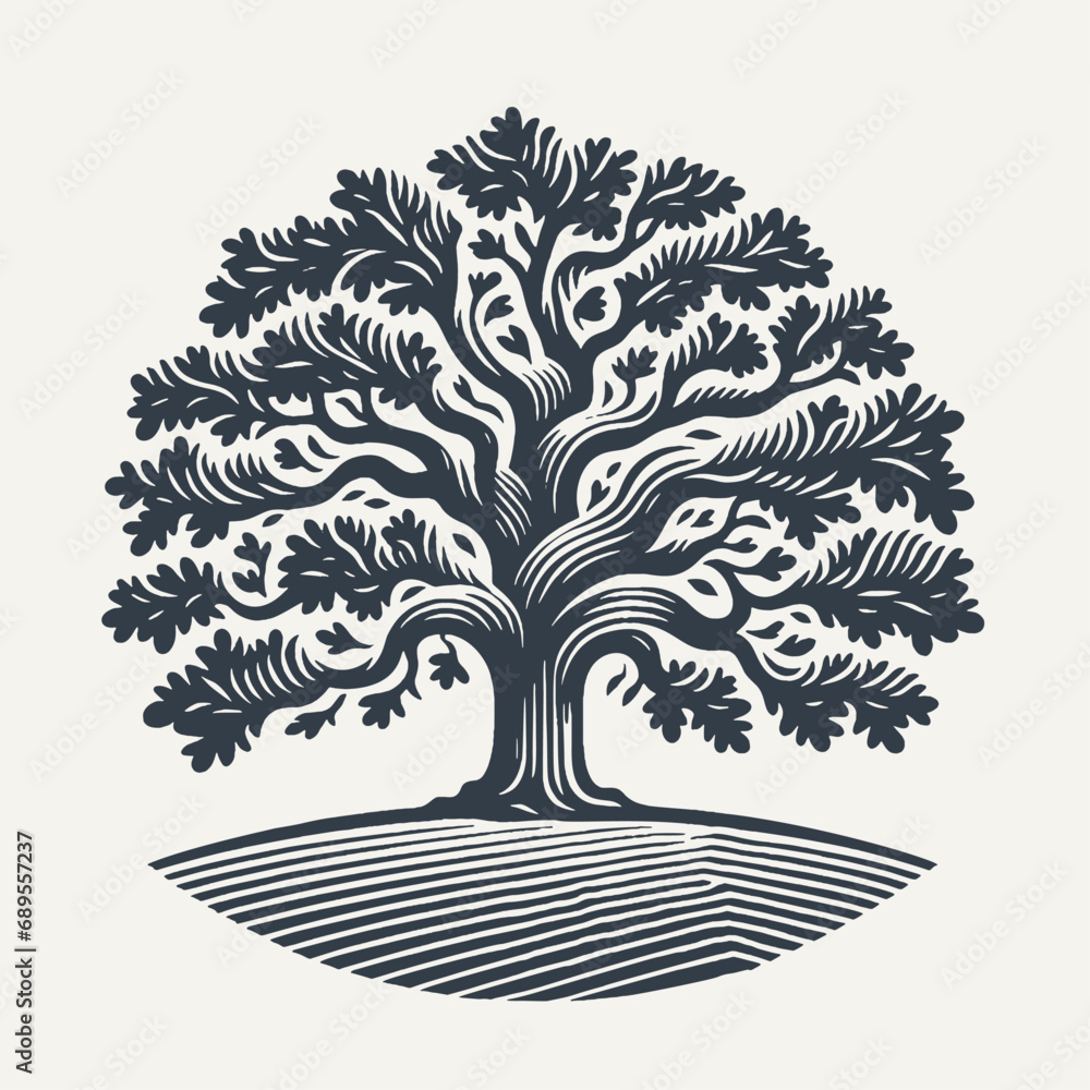 Oak tree. Vintage woodcut engraving style vector illustration. - obrazy, fototapety, plakaty 