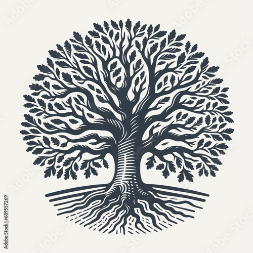 Oak tree. Vintage woodcut engraving style vector illustration.
