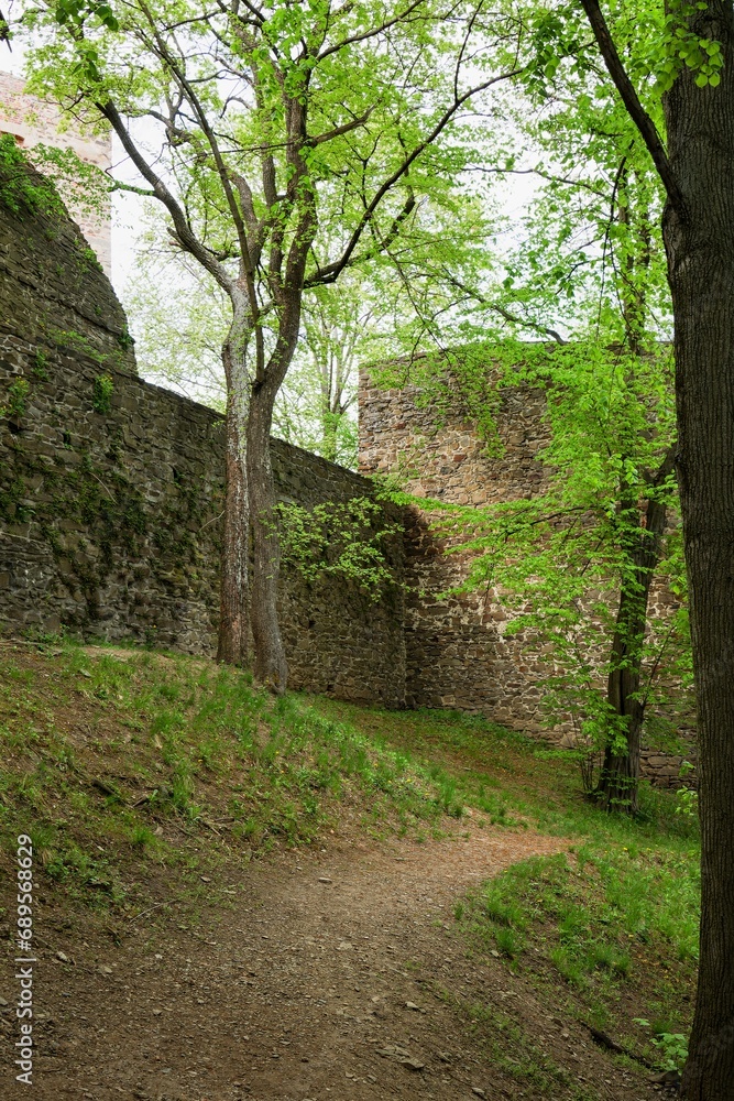 Helfstyn, castle ruins. Dog area. Czechia. 