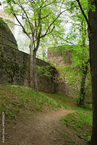 Helfstyn  castle ruins. Dog area. Czechia. 