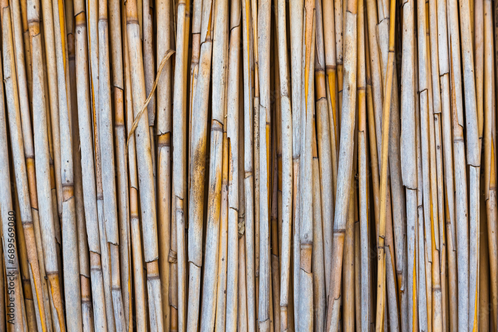 Dry reed fence. Background from dry reed sticks. - obrazy, fototapety, plakaty 