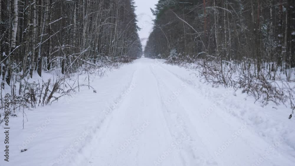 Winter forest road in snow background 4k Winter forest road in snow background 4k