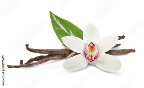 Vanilla pods, green leaf and beautiful flower isolated on white