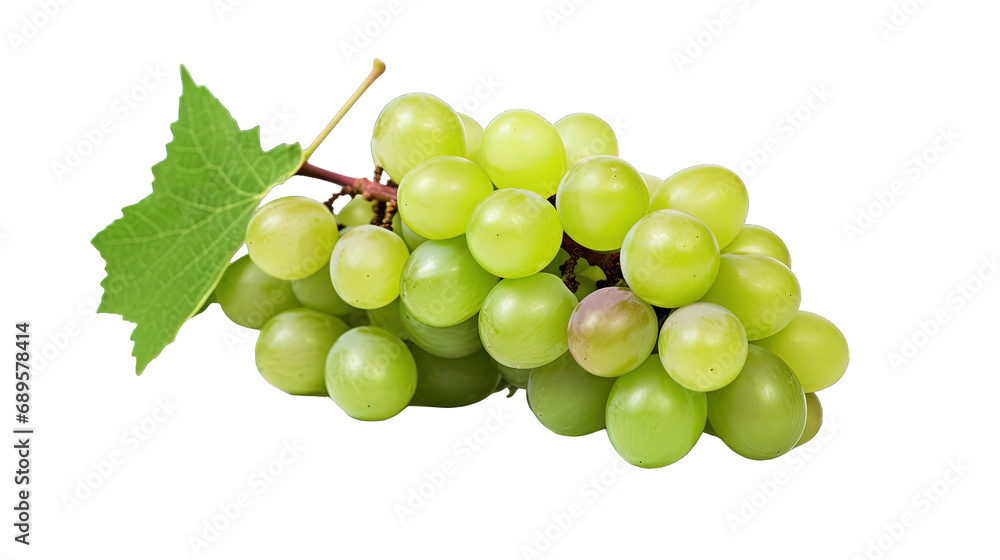 Grapes Isolated Grapes Isolated