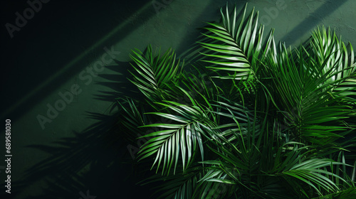Green tropical tree palm leaves