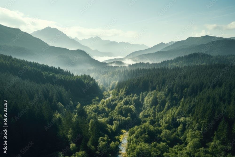 Aerial Drone Photograph of Picturesque Beautiful Landscape, Pine Tree Boreal Forest Scenery