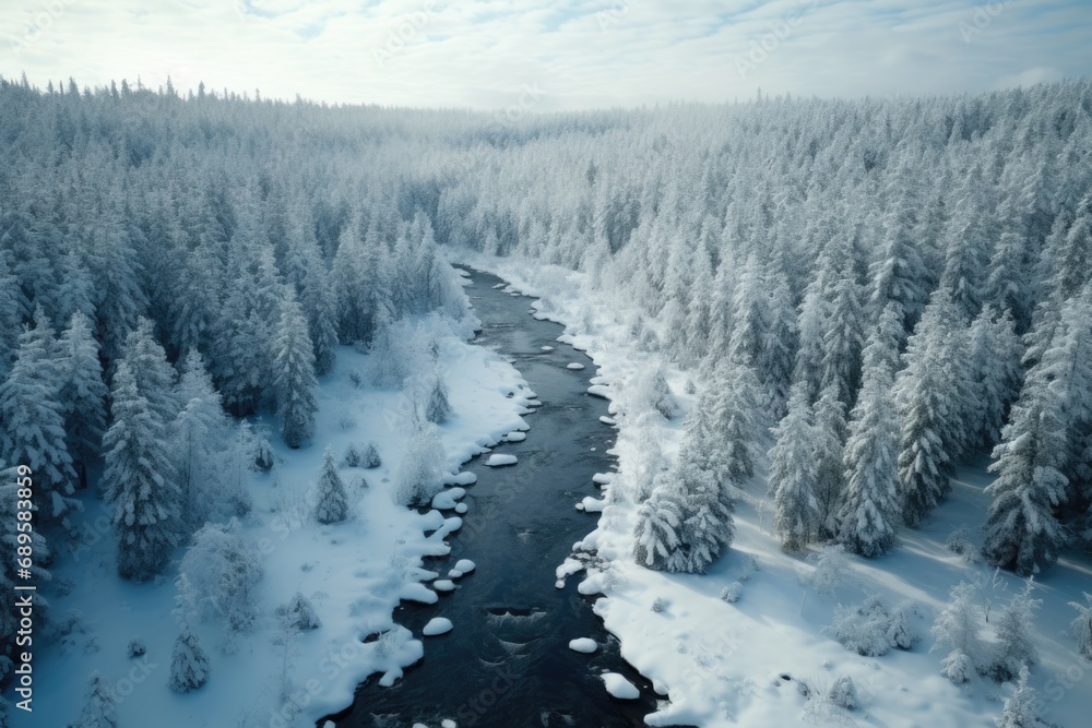 Obraz premium Aerial Drone Photograph of Picturesque Beautiful Landscape, Winter Forest Mountain Scenery