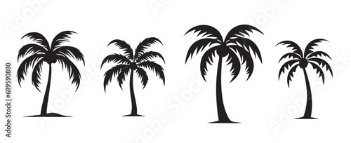 Silhouette of palm trees