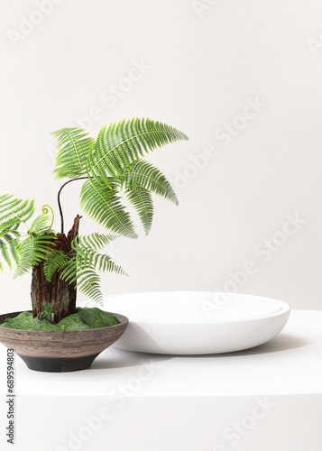 White round pedestal podium tray on counter  green fern tree in pot on book in sunlight for luxury cosmetic  skincare  beauty  body care  fashion product display background 3D