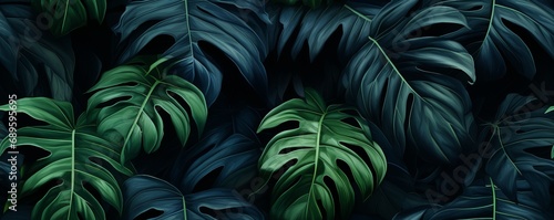 tropical monstera seamless pattern  philodendrons and palm leaves on a dark background. Green plants in a dark tropical forest. Creative concept of nature. Minimal background