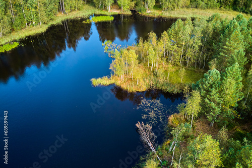 A picturesque view from a low altitude of an island in the middle of the lake overgrown with young birch trees. Overgrown peat lake