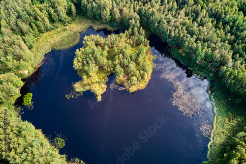 Green island overgrown with trees on a small peat lake, picturesque aerial view © PhotoChur