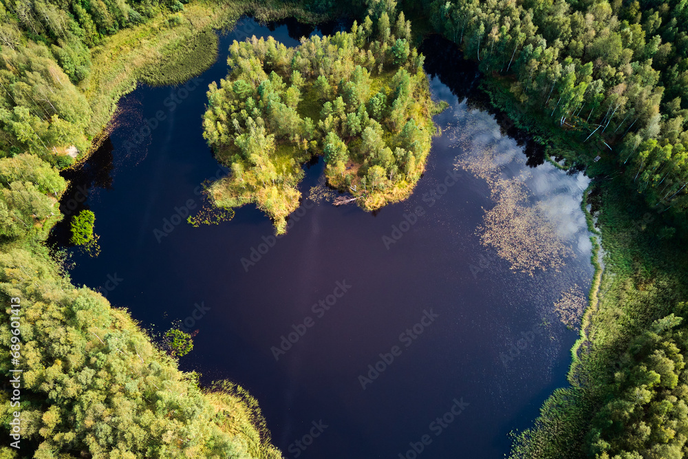 A colorful view from a high altitude of a forest lake with an island resembling an eye