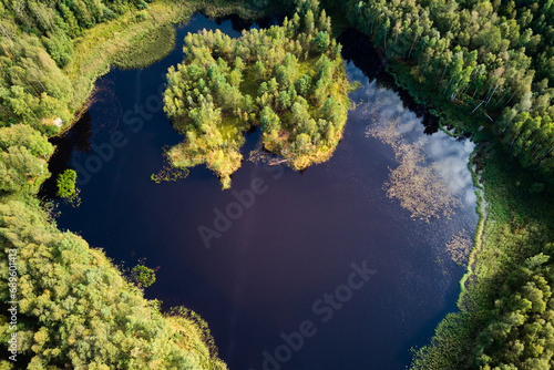 A colorful view from a high altitude of a forest lake with an island resembling an eye