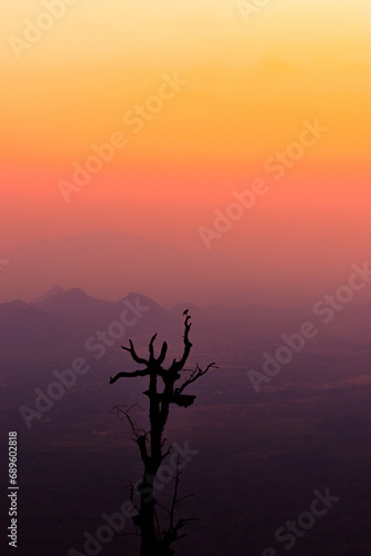 Witness the mesmerizing beauty of nature as a solitary tree stands tall, casting its enchanting silhouette against a breathtakingly colorful sky © Naveen