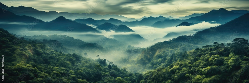 Foggy landscape in the jungle, Fog and mountain tropic valley landscape, Aerial view.