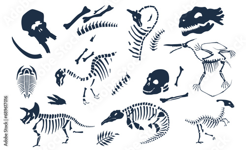 Dinosaurs bones, skeletons and skulls fossils set