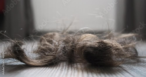 Hair cutting, wisps of hair falling on floor, close-up, side view, indoors. Concept of hair salon, cut long hair, remove interfering. photo