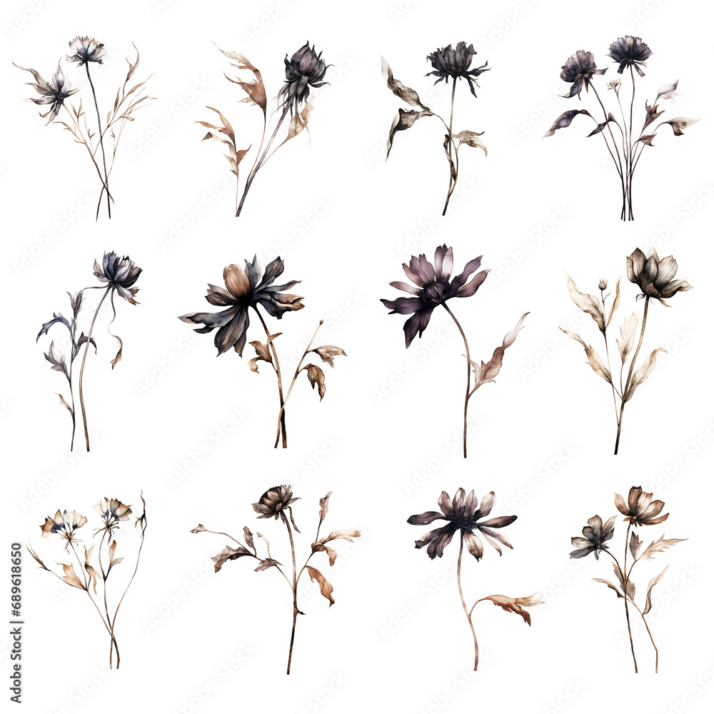 Set of watercolor dried wildflower - obrazy, fototapety, plakaty 