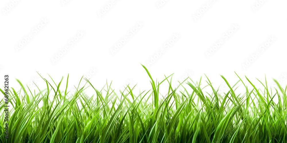 Obraz premium Close up green grass isolated on white