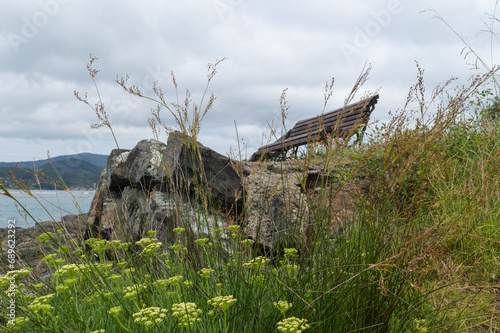 wooden bench in the field