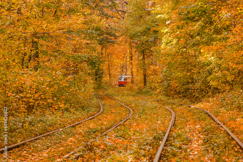 Autumn forest through which the tram travels  Kyiv and rails