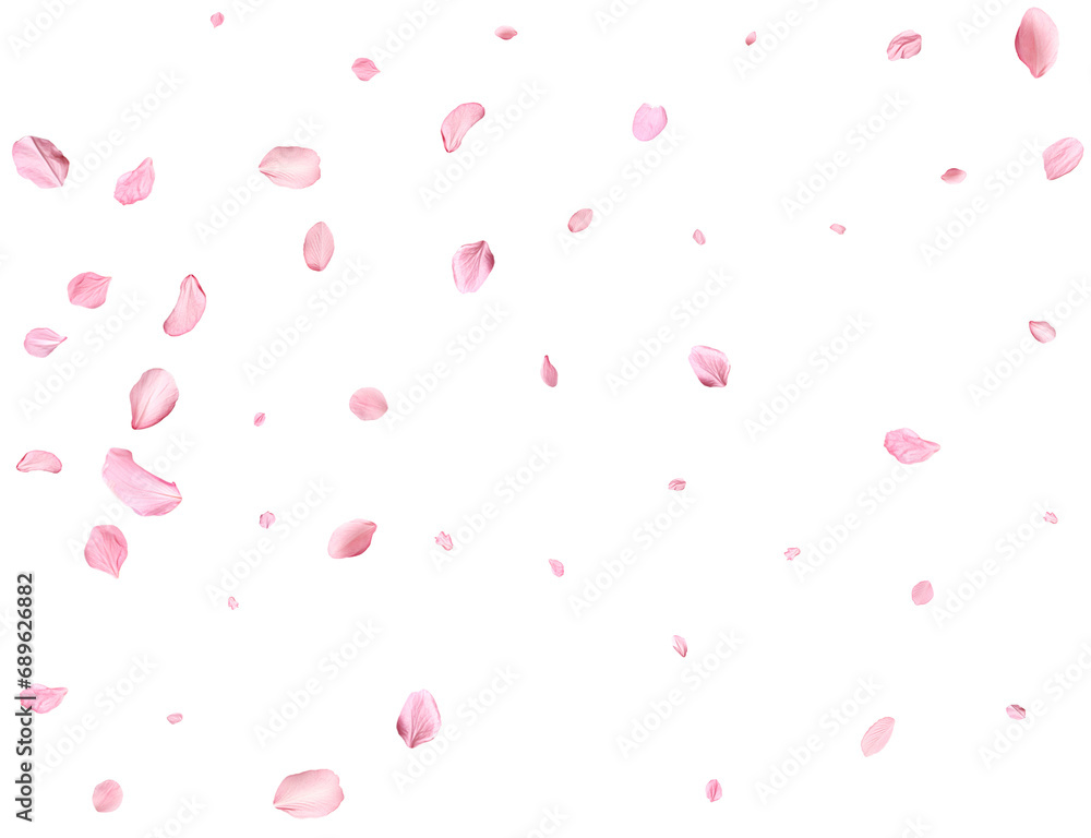 Pink Spring realistic sakura petals.